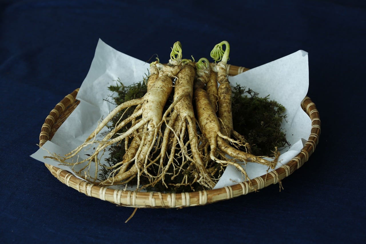 Qu&rsquo;est-ce que le ginseng ?